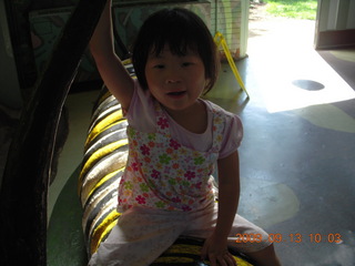 Philadelphia Zoo - Cecelia