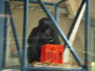 Philadelphia Zoo - Gaby