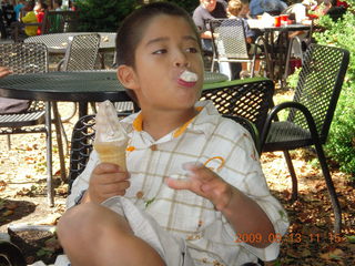 Philadelphia Zoo - lioness