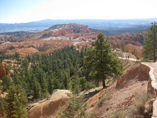98 702. Bryce Canyon amphitheater hike
