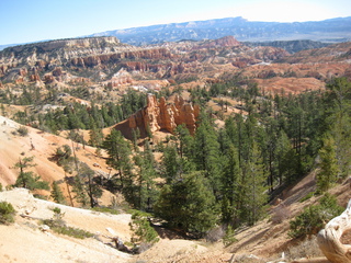 100 702. Bryce Canyon amphitheater hike