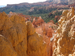 107 702. Bryce Canyon amphitheater hike