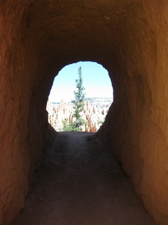 135 702. Bryce Canyon amphitheater hike