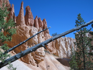 152 702. Bryce Canyon amphitheater hike