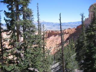 166 702. Bryce Canyon amphitheater hike