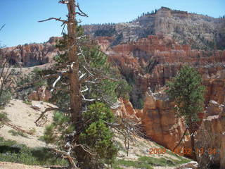 186 702. Bryce Canyon amphitheater hike