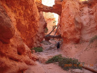 192 702. Bryce Canyon amphitheater hike
