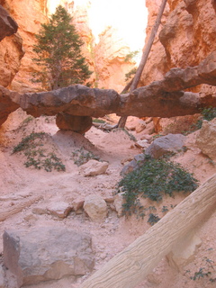 199 702. Bryce Canyon amphitheater hike