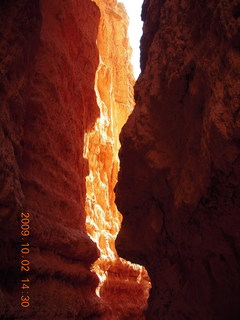 209 702. Bryce Canyon amphitheater hike