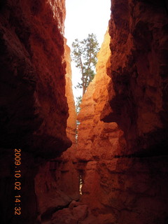 210 702. Bryce Canyon amphitheater hike