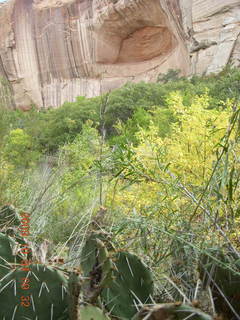 81 704. Escalante - Calf Creek trail