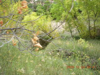 86 704. Escalante - Calf Creek trail