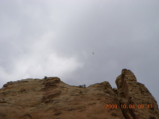 93 704. Escalante - Calf Creek trail