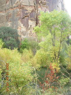 97 704. Escalante - Calf Creek trail