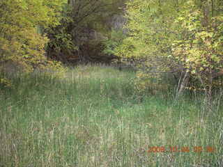 103 704. Escalante - Calf Creek trail