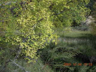 144 704. Escalante - Calf Creek trail
