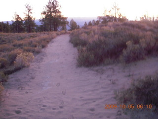 14 705. Bryce Canyon - rim from Fairyland to Sunrise