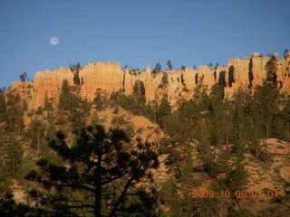 40 705. Bryce Canyon - sunrise at Sunrise Point - moon