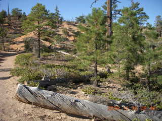 70 705. Bryce Canyon - Fairyland trail