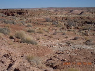 49 719. Angel Point run