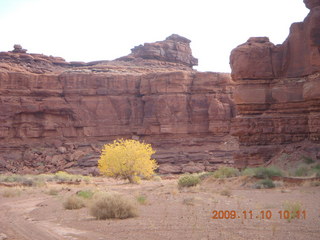 19 71a. Lathrop trail hike