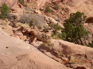 48 71a. Lathrop trail hike