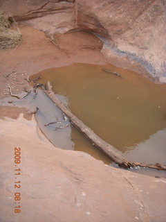2 71c. Arches National Park - Devils Garden hike - big puddle