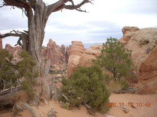 38 71c. Arches National Park - Devils Garden hike