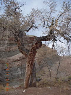 55 71d. Little Wild Horse Pass slot-canyon hike