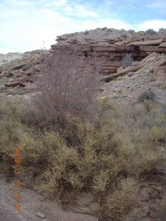 162 71d. Little Wild Horse Pass slot-canyon hike