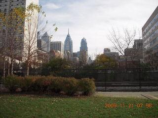 Philadelphia Zoo - tree
