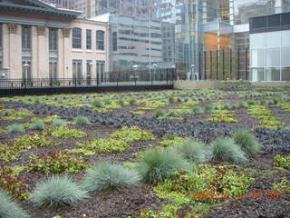 Philadelphia - Delaware River run