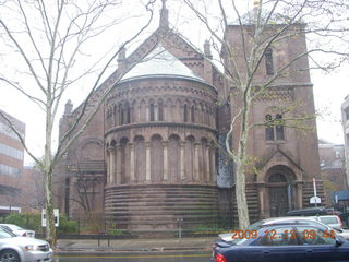 Charlie's yard in Philadelphia