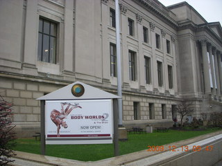 Charlie's yard in Philadelphia