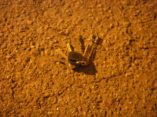 my keys on the ground at DVT