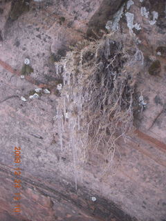 67 72p. Zion National Park - Observation Point hike