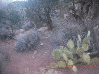 20 72r. Zion National Park - Watchman hike