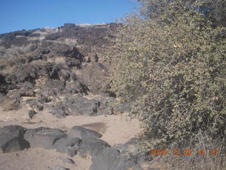 193 72r. Snow Canyon State Park - Butterfly trail
