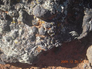 194 72r. Snow Canyon State Park - Butterfly trail