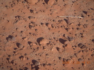 211 72r. Snow Canyon State Park - Petrified Sand Dunes trail - more nodules on rock