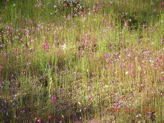 Woomera, total eclipse, zoom in 3