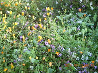 Garmin GPS StreetFinder, check out 753 MPH top speed (max)