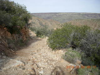 Scottsdale flooding after all that rain