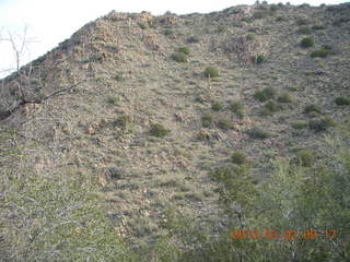 Bagdad run, green after the rain