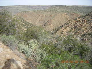 Scottsdale flooding after all that rain