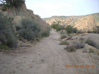 Bagdad run, green after the rain