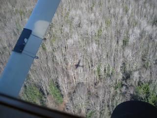 Bisbee breakfast - mine pit