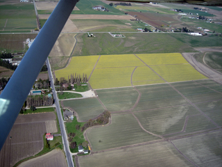 Charlie's pictures - Arlington flight - to Skagit (BVS) - daffodils instead of tulips