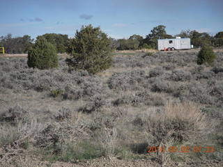 55 772. Sage Brush, Peter's Point run