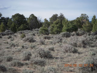 56 772. Sage Brush, Peter's Point run